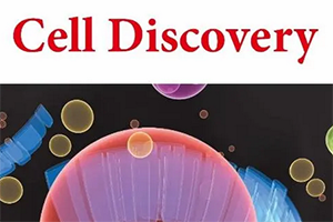 1-Cell Discovery