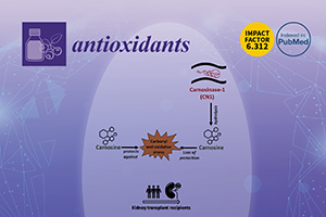 15-Antioxidants-4