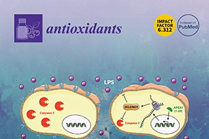 16-Antioxidants-5